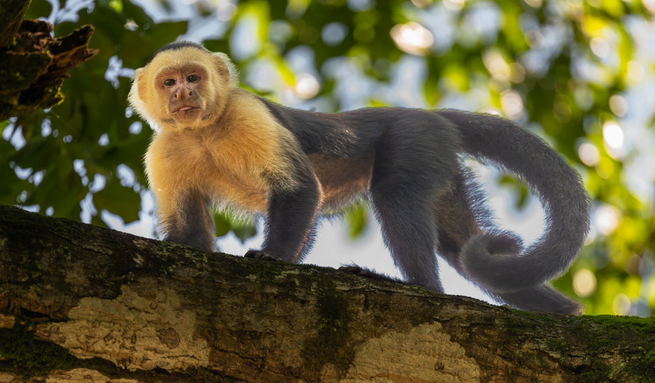 20240707_CR_Z8a_8744-NEF-DxO-XD2.jpg 20240707_CR_Z8a_8744 NEF DxO XD2.