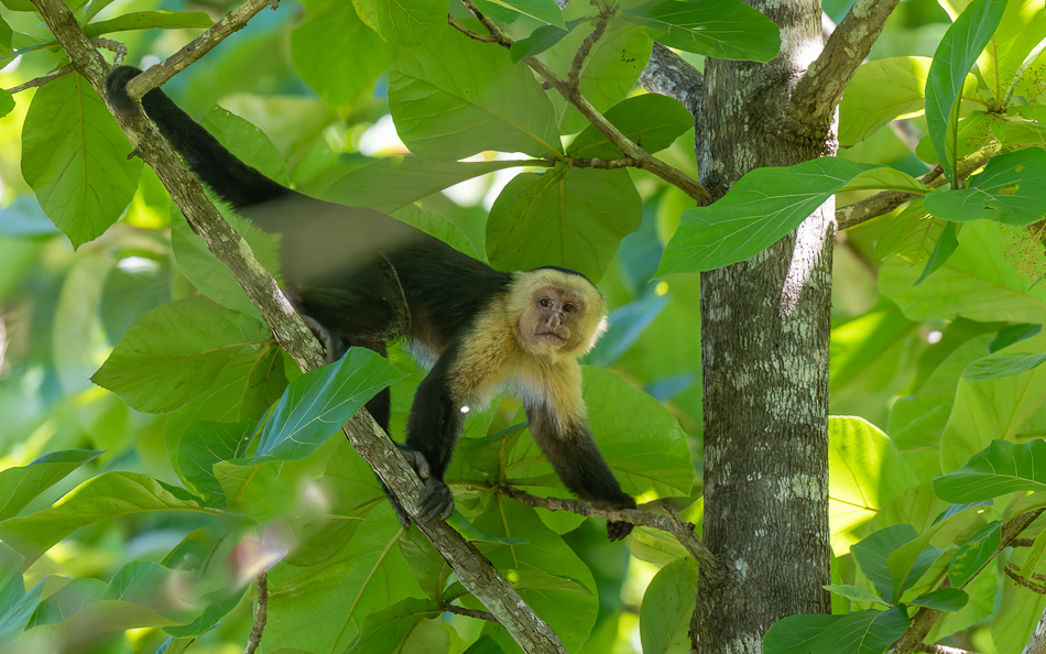 20240707_CR_Z8a_8753-NEF-DxO-XD2.jpg 20240707_CR_Z8a_8753 NEF DxO XD2.