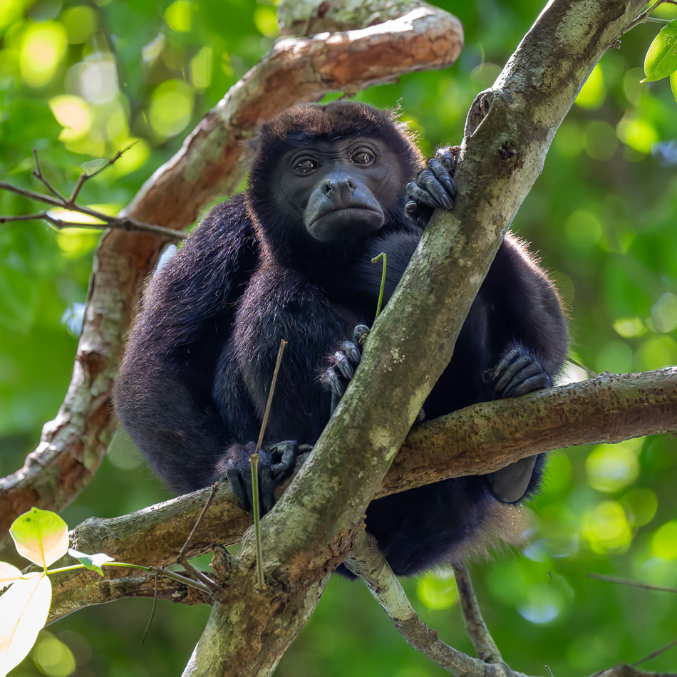 20240707_CR_Z8a_9216-NEF-DxO-XD2.jpg 20240707_CR_Z8a_9216 NEF DxO XD2.