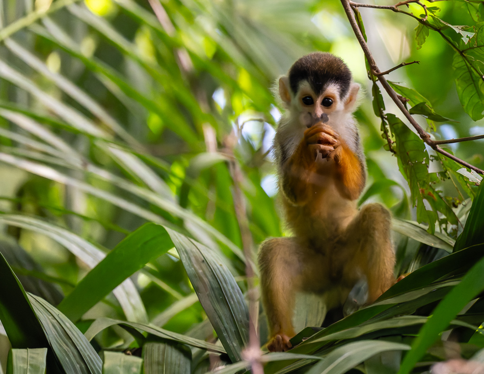 20240707_CR_Z8a_9815-NEF-DxO-XD2.jpg 20240707_CR_Z8a_9815 NEF DxO XD2.