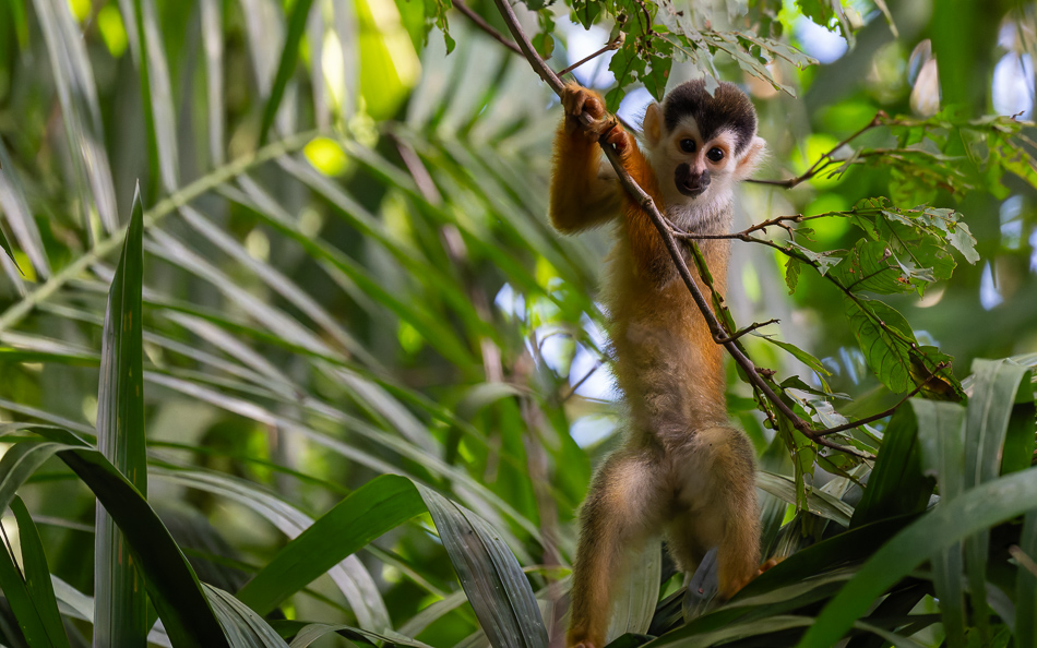 20240707_CR_Z8a_9829-NEF-DxO-XD2.jpg 20240707_CR_Z8a_9829 NEF DxO XD2.