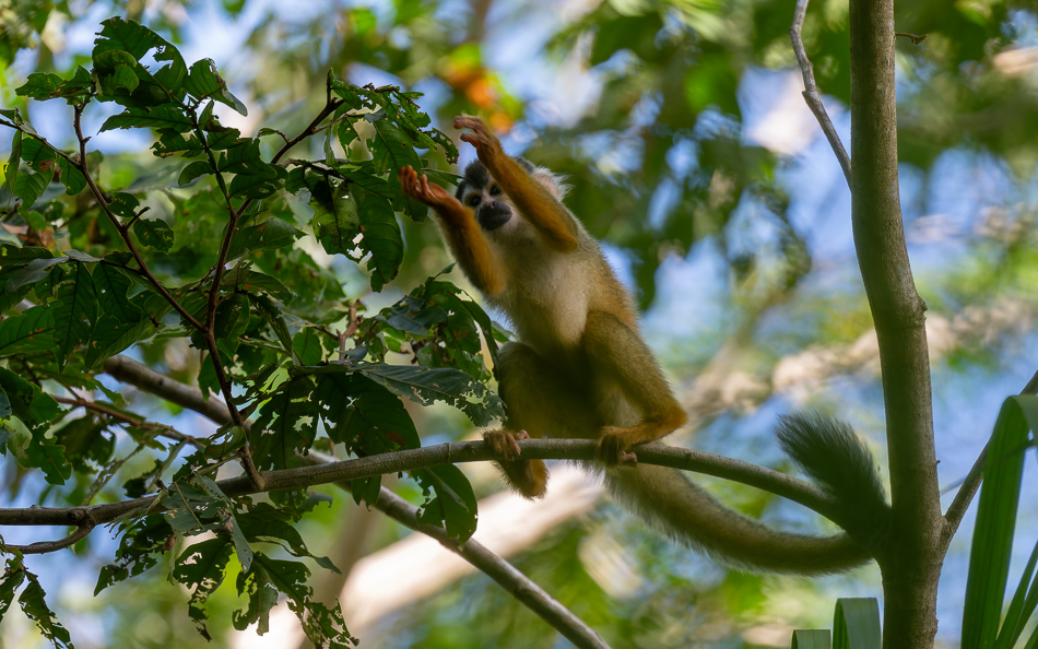 20240707_CR_Z8a_9941-NEF-DxO-XD2.jpg 20240707_CR_Z8a_9941 NEF DxO XD2.