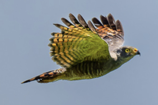 Screenshot 2024-07-27 at 10.58.21.jpg