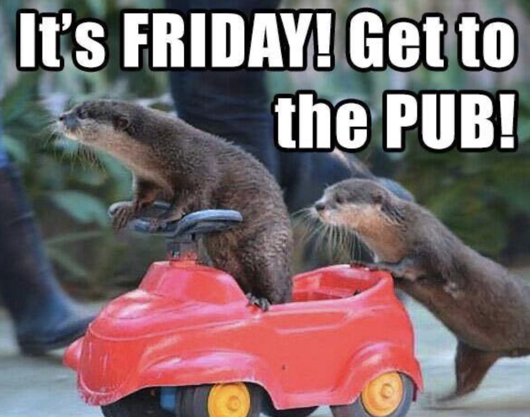 Screenshot 2024-07-27 at 11.37.28.jpg