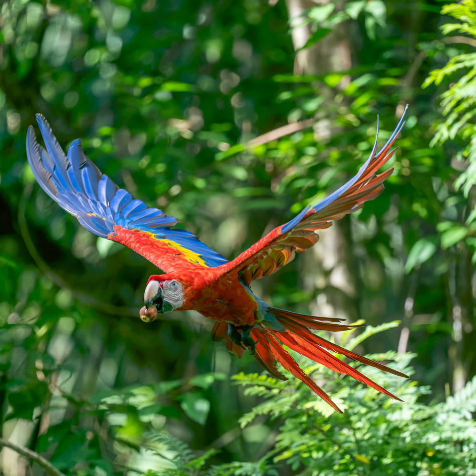 20240707_CR_Z8a_0996 NEF DxO XD2.