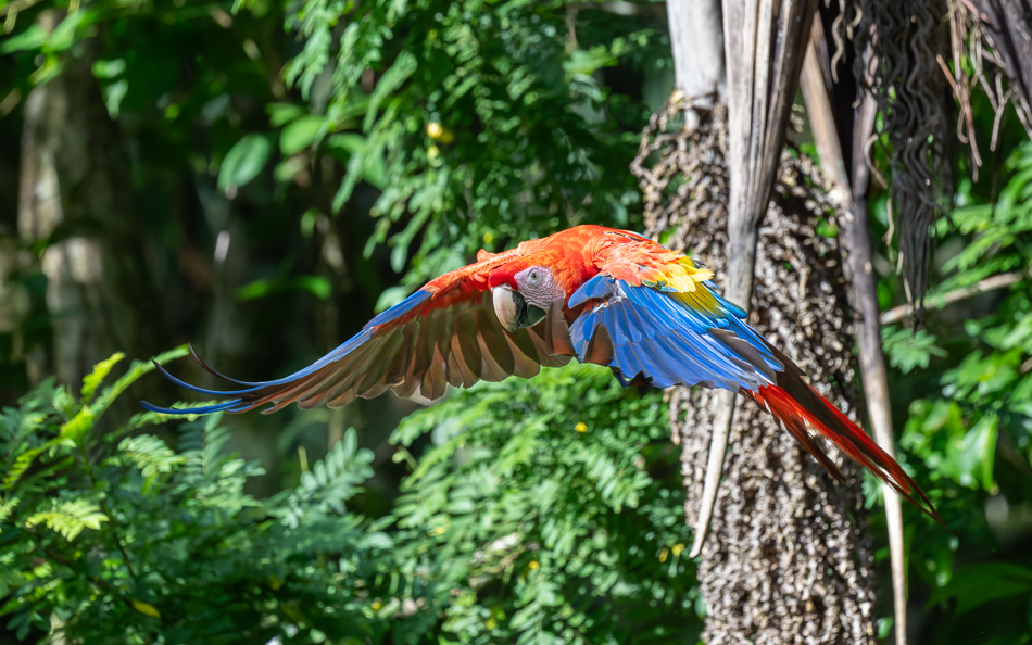 20240707_CR_Z8a_1268 NEF DxO XD2.