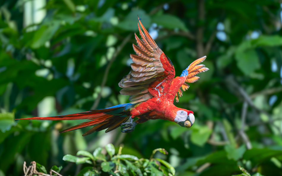 20240707_CR_Z8a_1470 NEF DxO XD2.