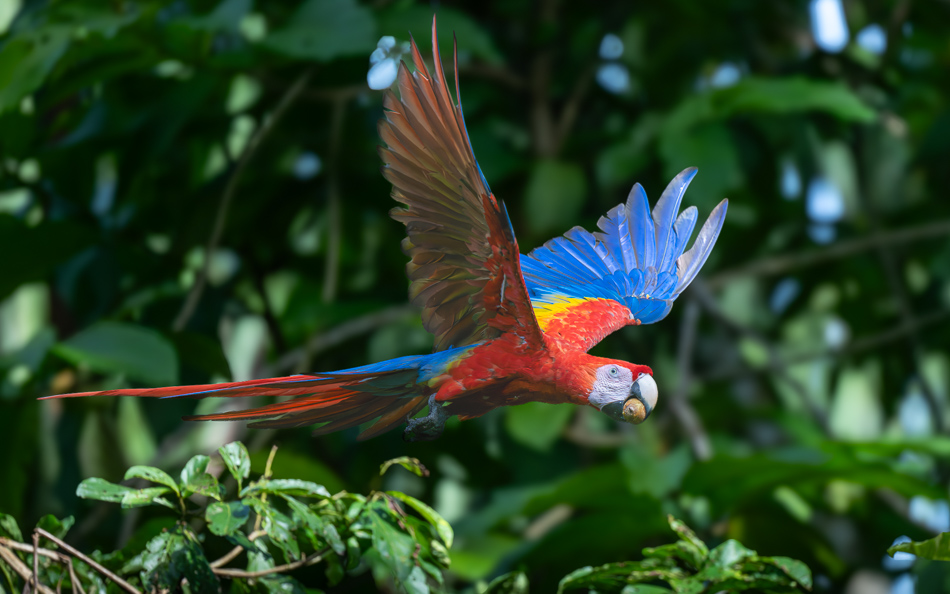 20240707_CR_Z8a_1471 NEF DxO XD2.