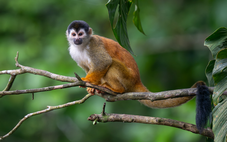 20240707_CR_Z8a_2006 NEF DxO XD2.