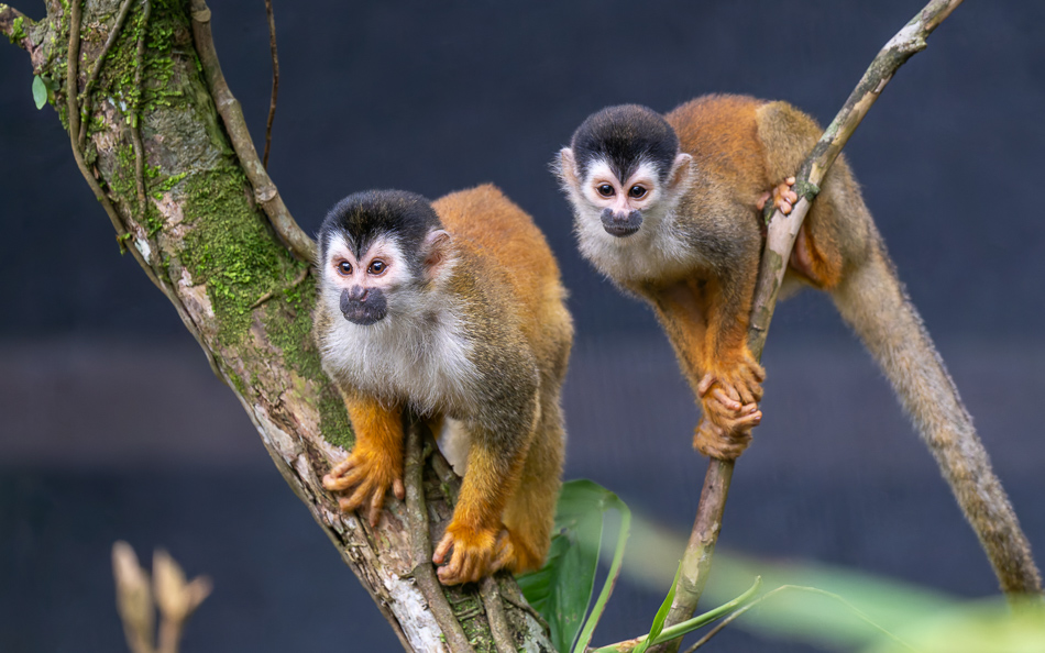 20240707_CR_Z8a_2079 NEF DxO XD2.