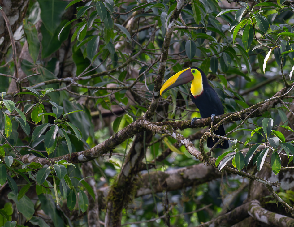 20240708_CR_Z8a_2227-NEF-DxO-XD2.jpg 20240708_CR_Z8a_2227 NEF DxO XD2.