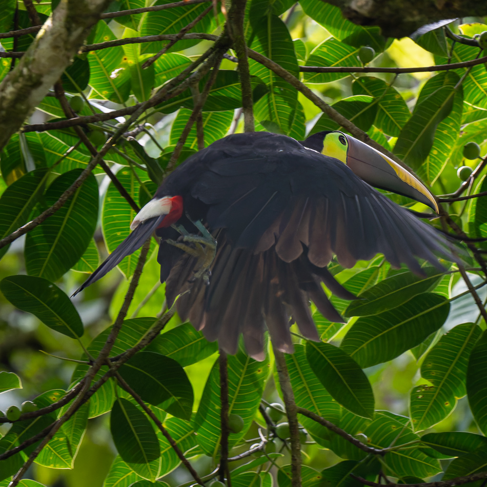 20240708_CR_Z8a_2256-NEF-DxO-XD2.jpg 20240708_CR_Z8a_2256 NEF DxO XD2.