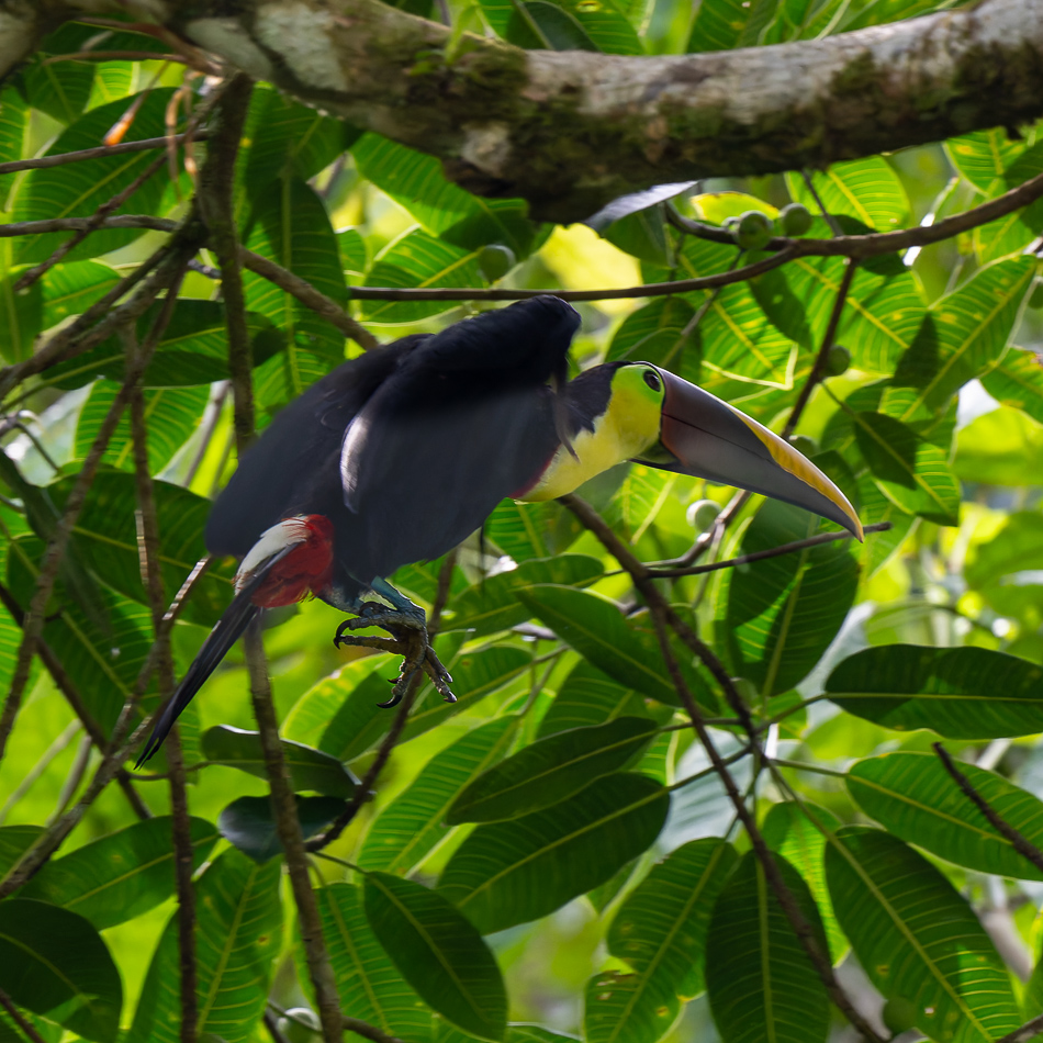 20240708_CR_Z8a_2257-NEF-DxO-XD2.jpg 20240708_CR_Z8a_2257 NEF DxO XD2.