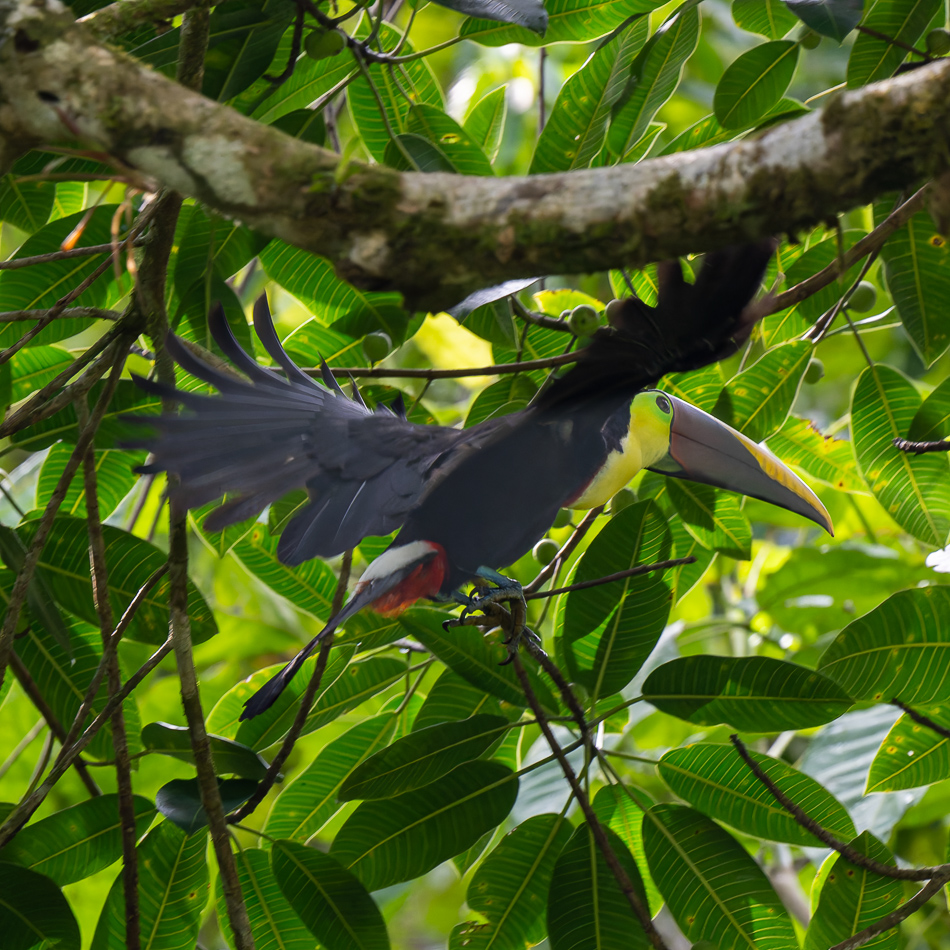 20240708_CR_Z8a_2258-NEF-DxO-XD2.jpg 20240708_CR_Z8a_2258 NEF DxO XD2.