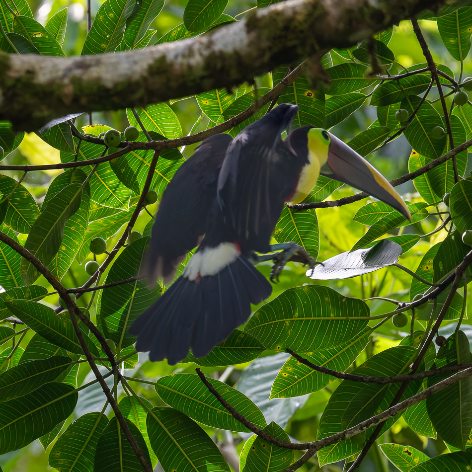 20240708_CR_Z8a_2260-NEF-DxO-XD2.jpg 20240708_CR_Z8a_2260 NEF DxO XD2.