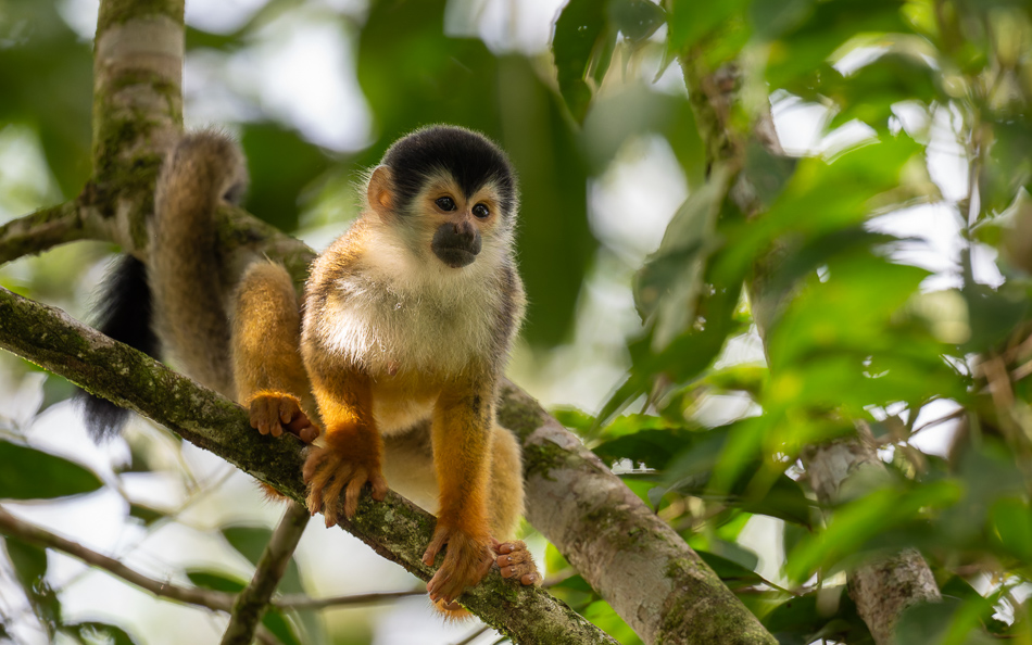 20240708_CR_Z8a_2318-NEF-DxO-XD2.jpg 20240708_CR_Z8a_2318 NEF DxO XD2.