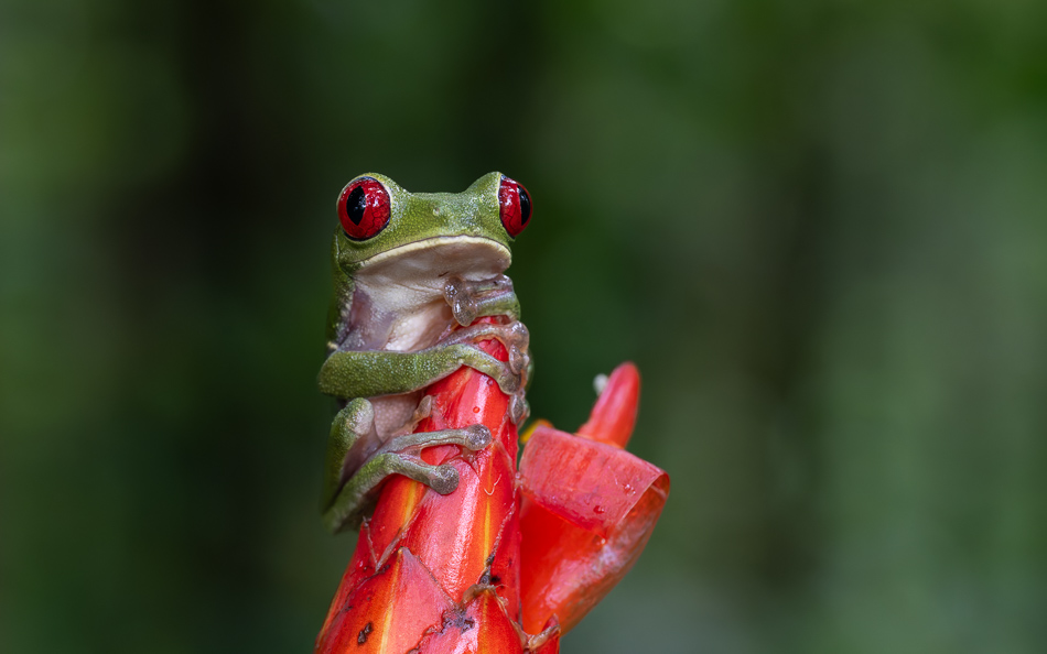 20240708_CR_Z8b_3928-NEF-DxO-XD2.jpg 20240708_CR_Z8b_3928 NEF DxO XD2.