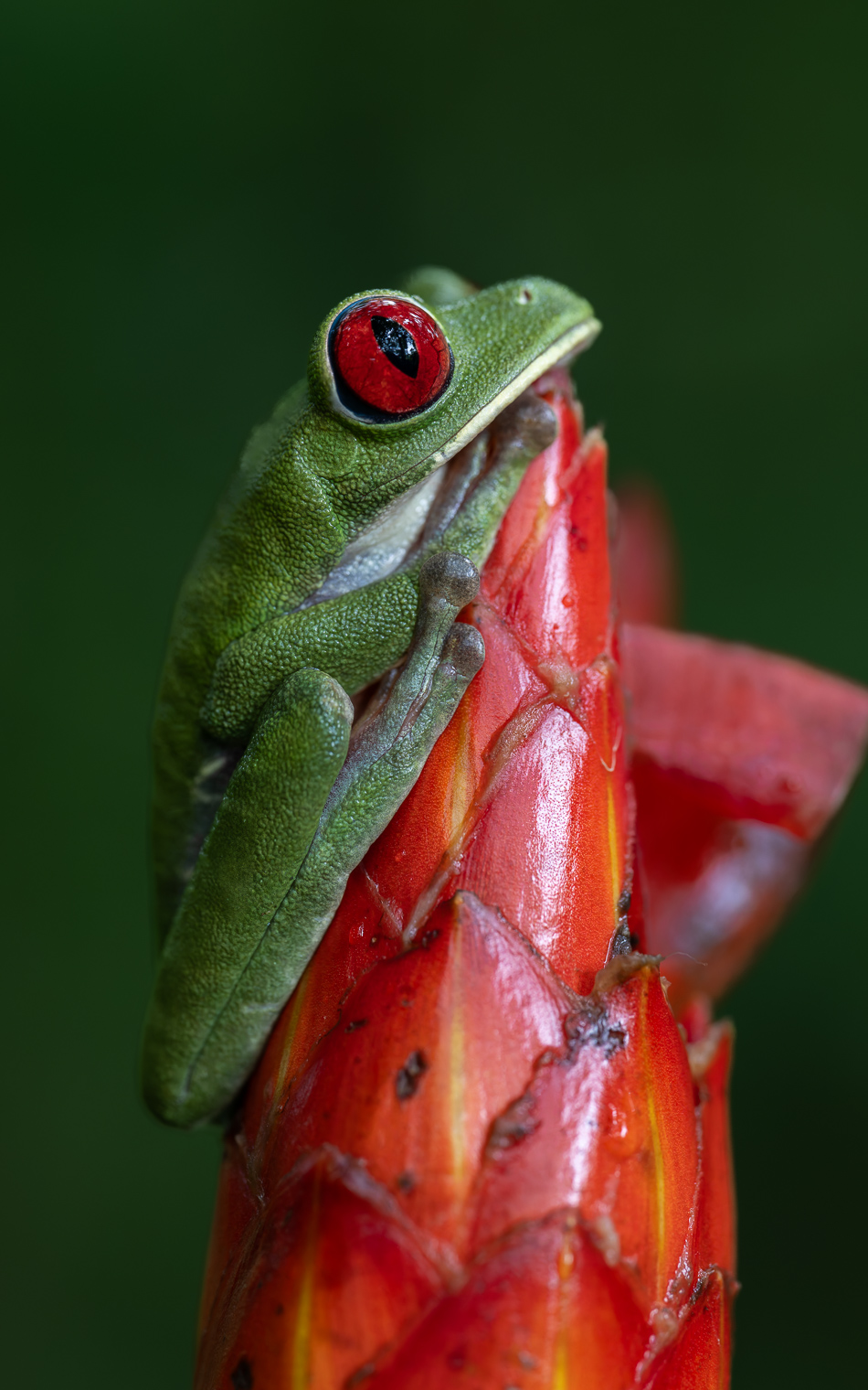 20240708_CR_Z8b_3951-NEF-DxO-XD2.jpg 20240708_CR_Z8b_3951 NEF DxO XD2.