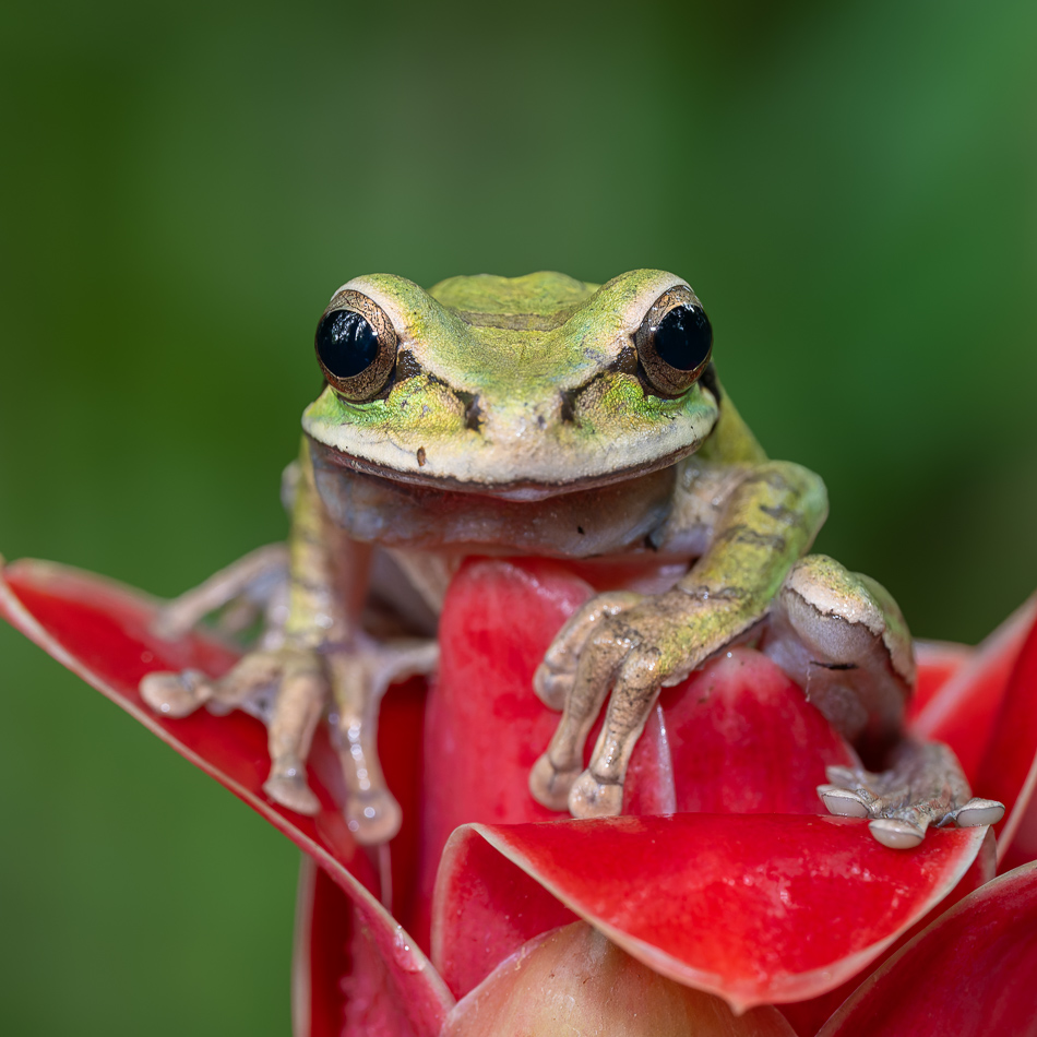 20240708_CR_Z8b_4018-NEF-DxO-XD2.jpg 20240708_CR_Z8b_4018 NEF DxO XD2.