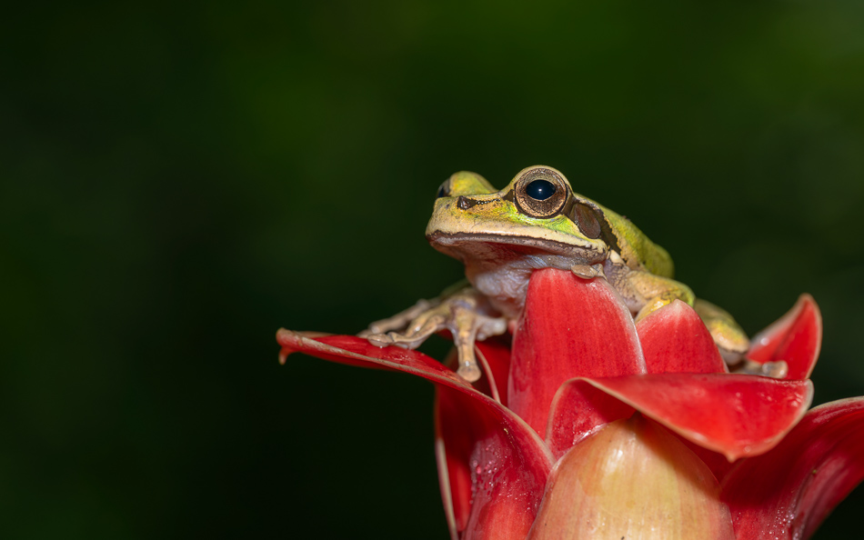 20240708_CR_Z8b_4093-NEF-DxO-XD2.jpg 20240708_CR_Z8b_4093 NEF DxO XD2.