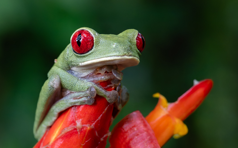 20240708_CR_Z8b_4105-NEF-DxO-XD2.jpg 20240708_CR_Z8b_4105 NEF DxO XD2.