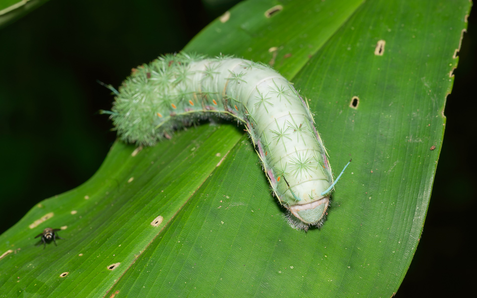 20240708_CR_Z8b_4138-NEF-DxO-XD2.jpg 20240708_CR_Z8b_4138 NEF DxO XD2.