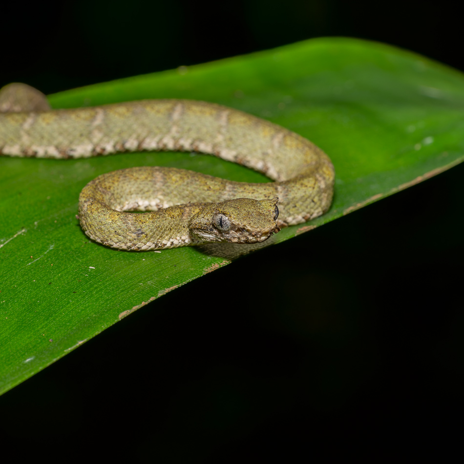 20240708_CR_Z8b_4742-NEF-DxO-XD2.jpg 20240708_CR_Z8b_4742 NEF DxO XD2.