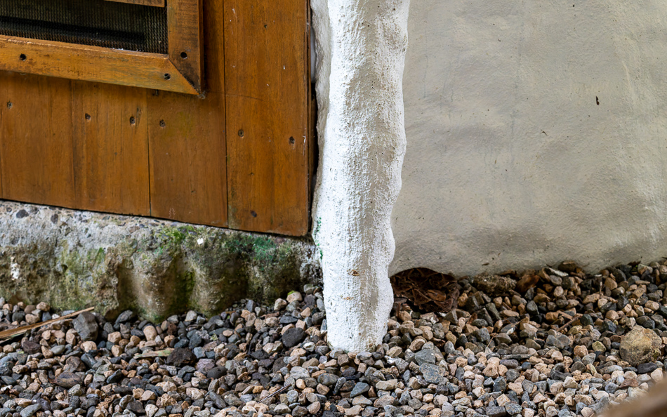 20240708_CR_Z8b_4877 NEF DxO XD2.