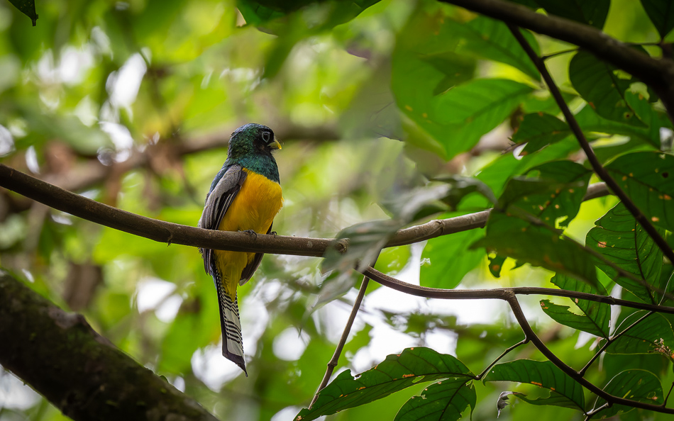 20240710 CR Z8a 3083-NEF-DxO.