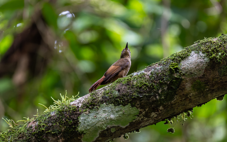 20240710 CR Z8a 3404-NEF-DxO.