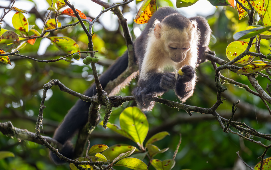 20240710 CR Z8a 3600-NEF-DxO.