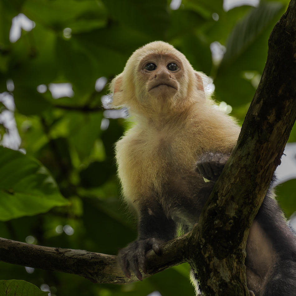 20240710 CR Z8a 3618-NEF-DxO.