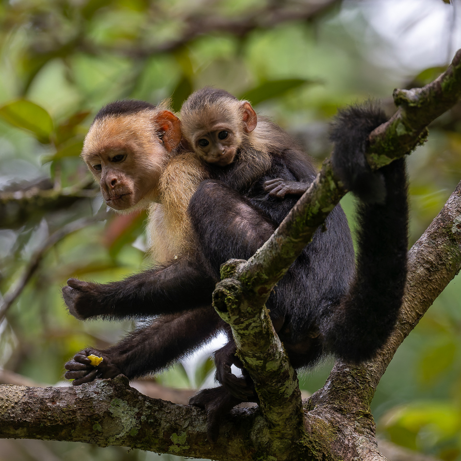 20240710 CR Z8a 3692-NEF-DxO.