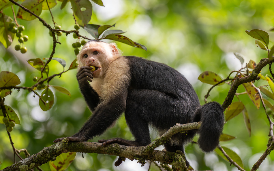 20240710 CR Z8a 3775-NEF-DxO.