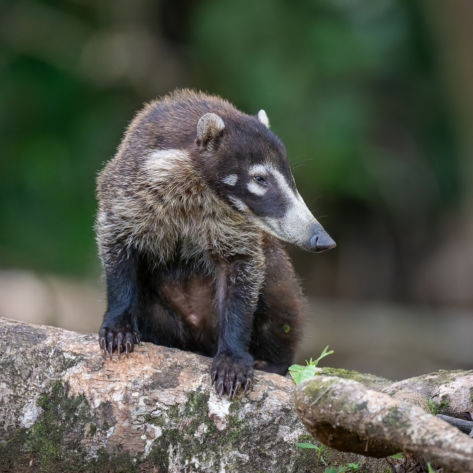 20240710 CR Z8a 5053-NEF-DxO.