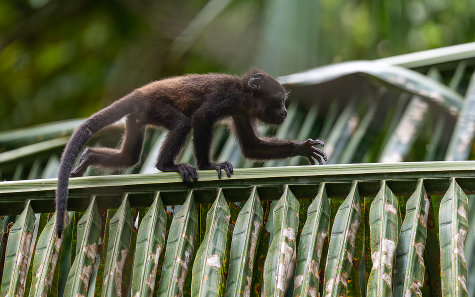 20240710 CR Z8a 5422-NEF-DxO.