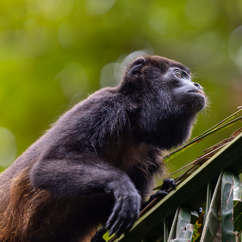 20240710 CR Z8a 5640-NEF-DxO.