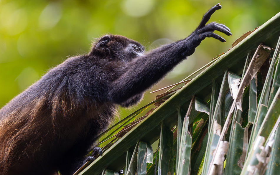 20240710 CR Z8a 5643-NEF-DxO.