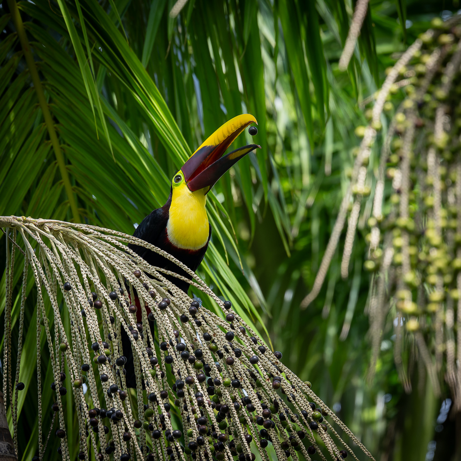 20240710 CR Z8a 6234-NEF-DxO.