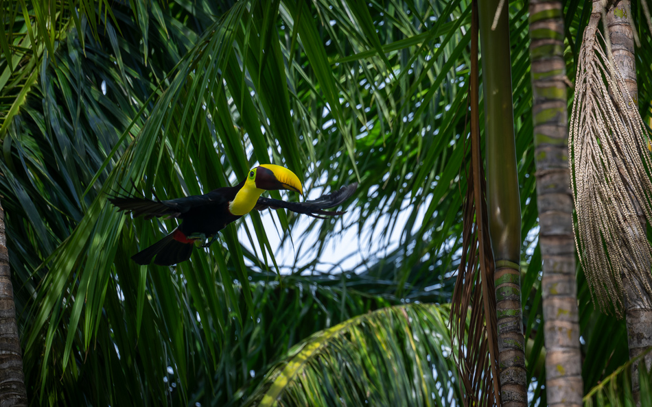 20240710 CR Z8a 6367-NEF-DxO.