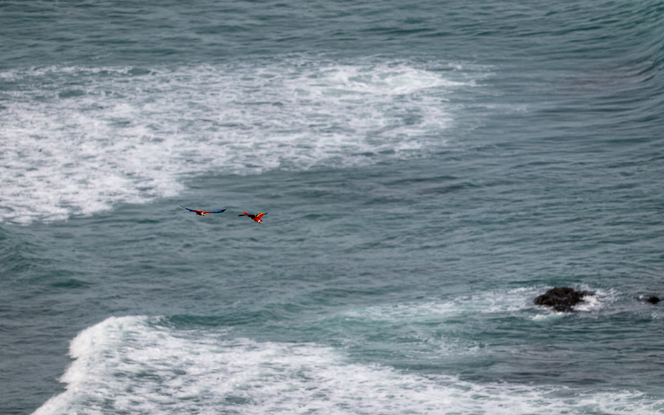 20240710 CR Z8a 6483-NEF-DxO.