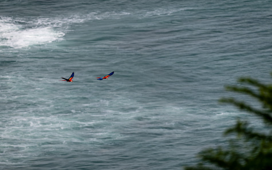 20240710 CR Z8a 6533-NEF-DxO.