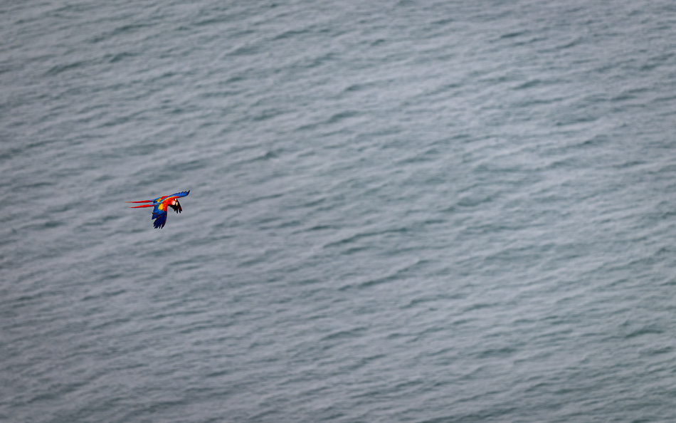 20240710 CR Z8a 6672-NEF-DxO.