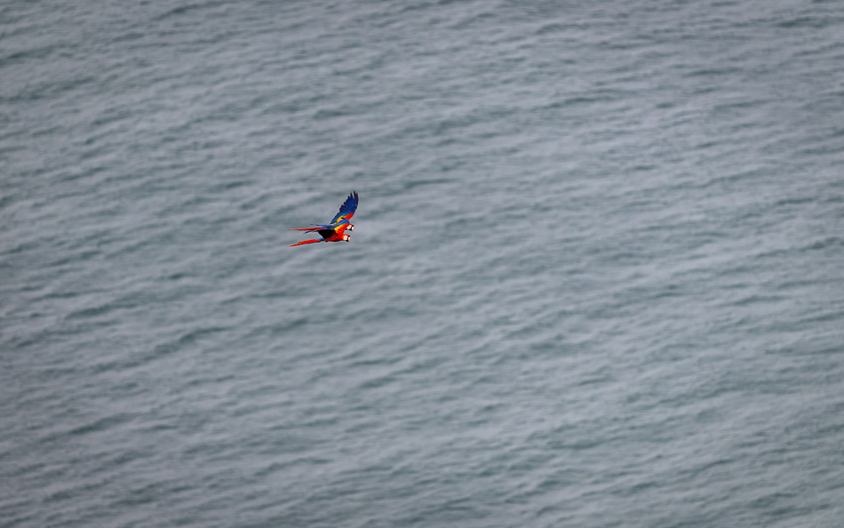 20240710 CR Z8a 6684-NEF-DxO.