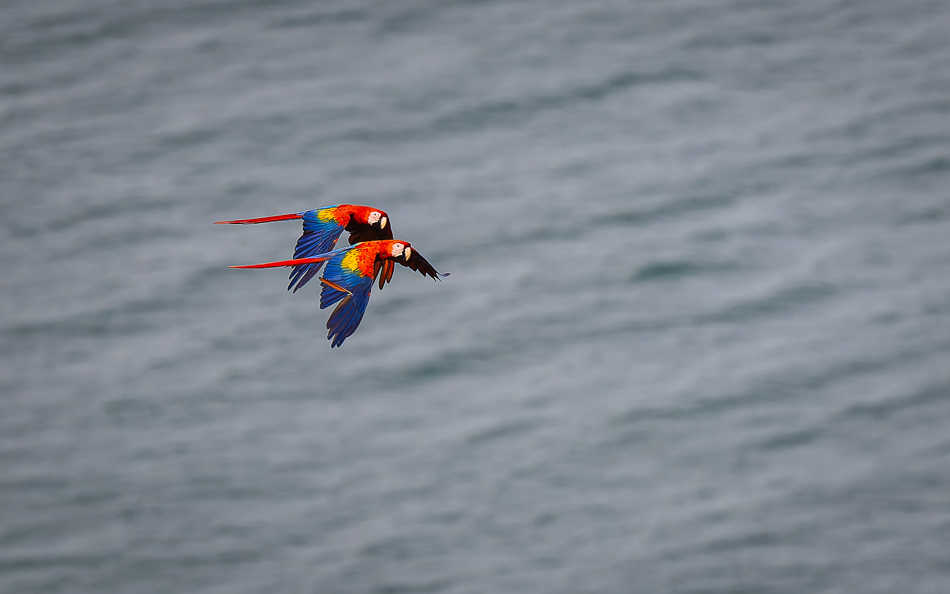 20240710 CR Z8a 6700-NEF-DxO.