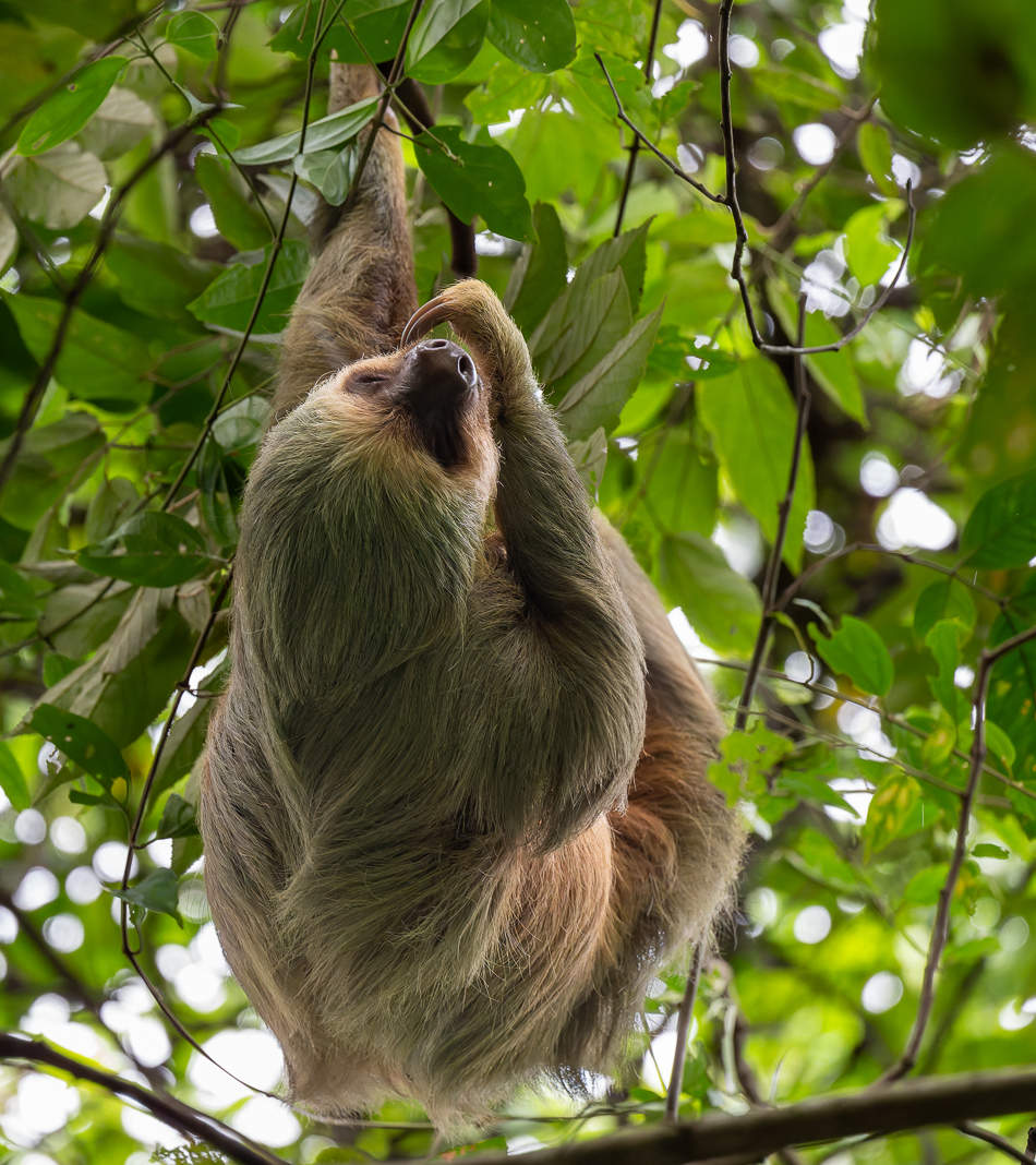 20240710 CR Z8a 7484-NEF-DxO.