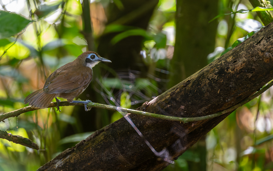 20240710 CR Z8b 5561-NEF-DxO.