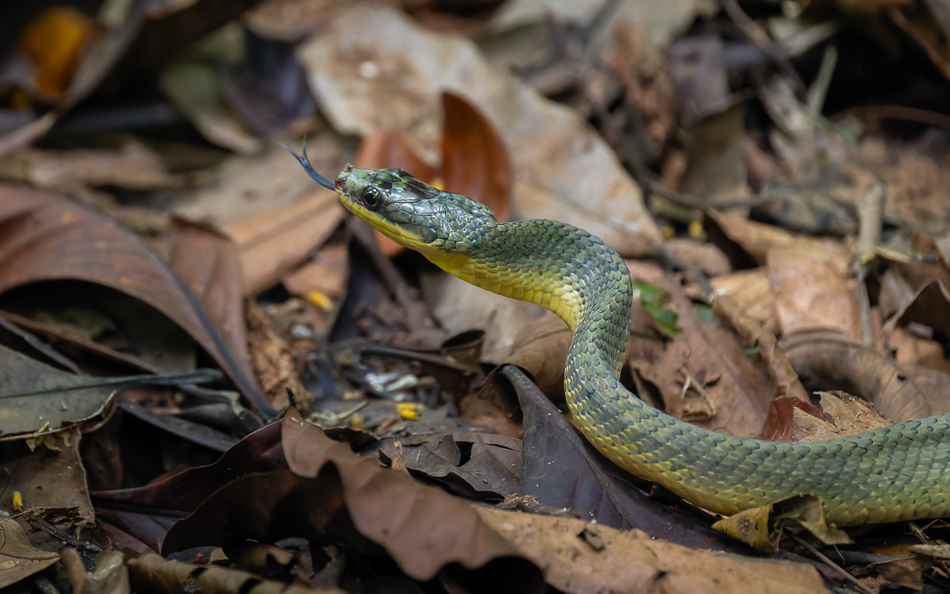 20240710 CR Z8b 5677-NEF-DxO.