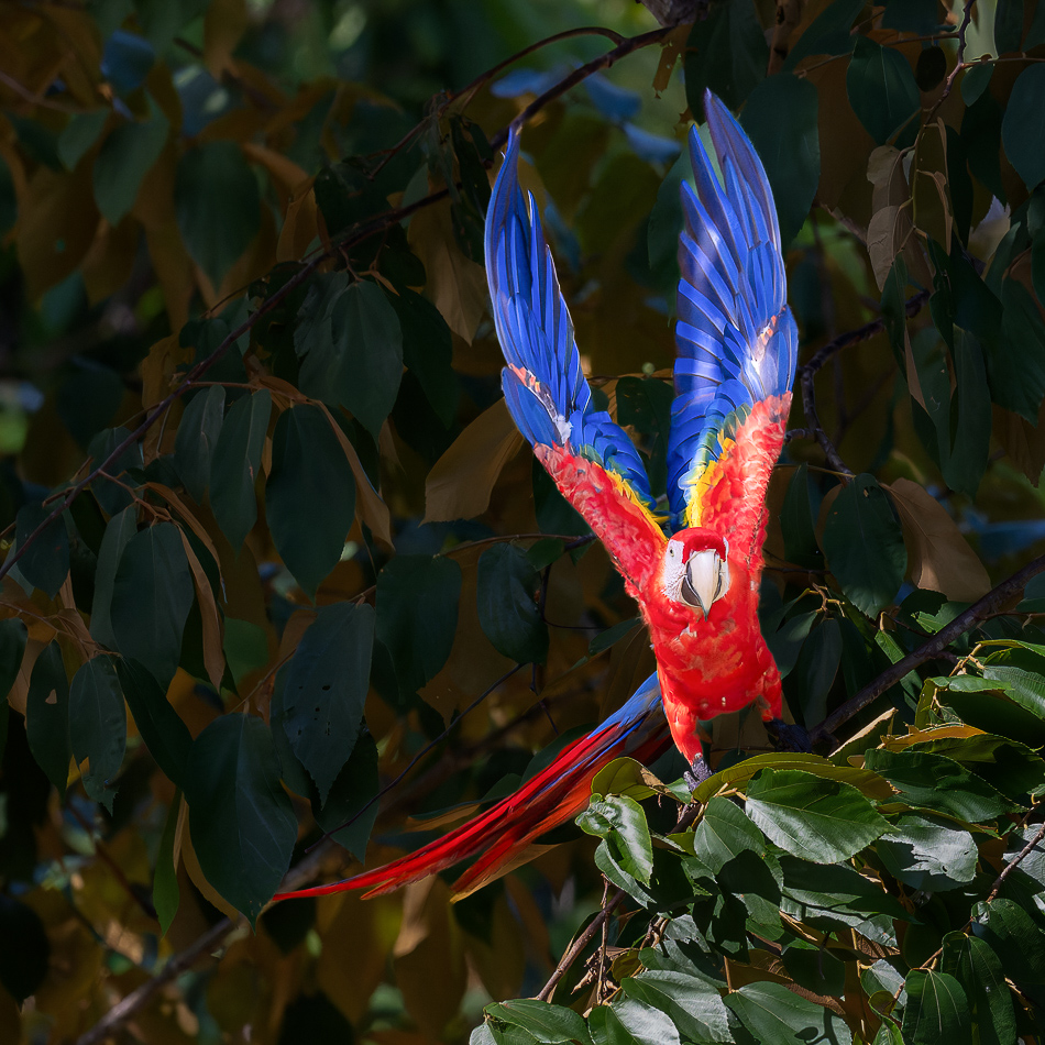 20240707_CR_Z8a_0696-NEF-DxO-XD2-2.jpg 20240707_CR_Z8a_0696 NEF DxO XD2 2.