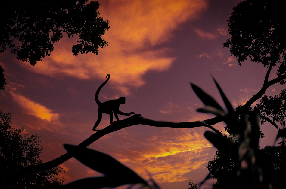 20240710_CR_Z8a_6385-NEF-DxO-Edit-2.jpg 20240710_CR_Z8a_6385 NEF DxO Edit 2.